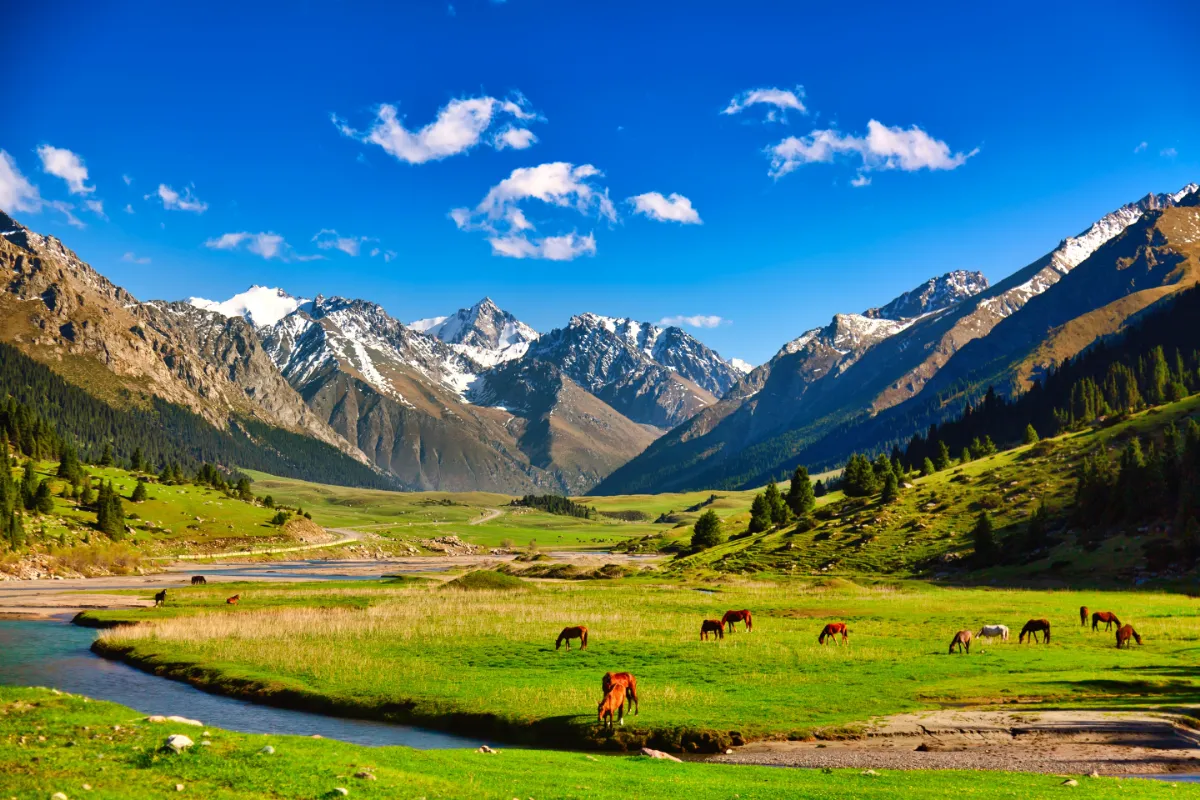 キルギス / Kyrgyzstan