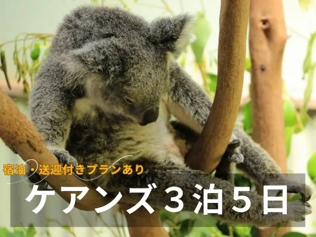 ケアンズ5日モデルコース｜グリーン島・キュランダ・熱気球・動物園満喫旅行プラン