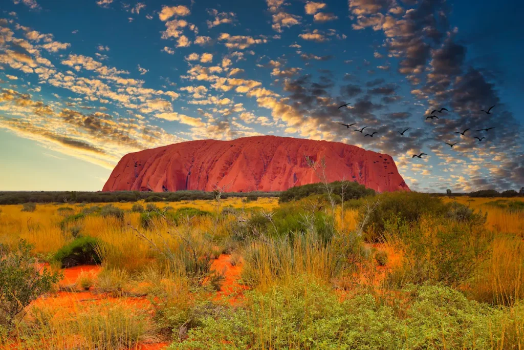 シドニー＆ウルル周遊6日モデルコース｜オーストラリア定番絶景・日本語ガイド付き旅行プラン