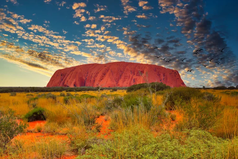 シドニー＆ウルル周遊6日モデルコース｜オーストラリア定番絶景・日本語ガイド付き旅行プラン