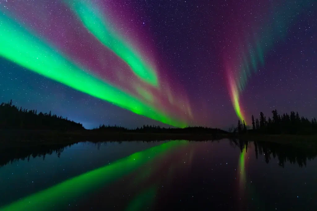 【北米】フェアバンクス/アラスカ