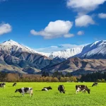 ニュージーランド旅行で人気の南島サザンアルプスの絶景