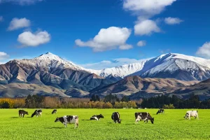 ニュージーランド旅行で人気の南島サザンアルプスの絶景