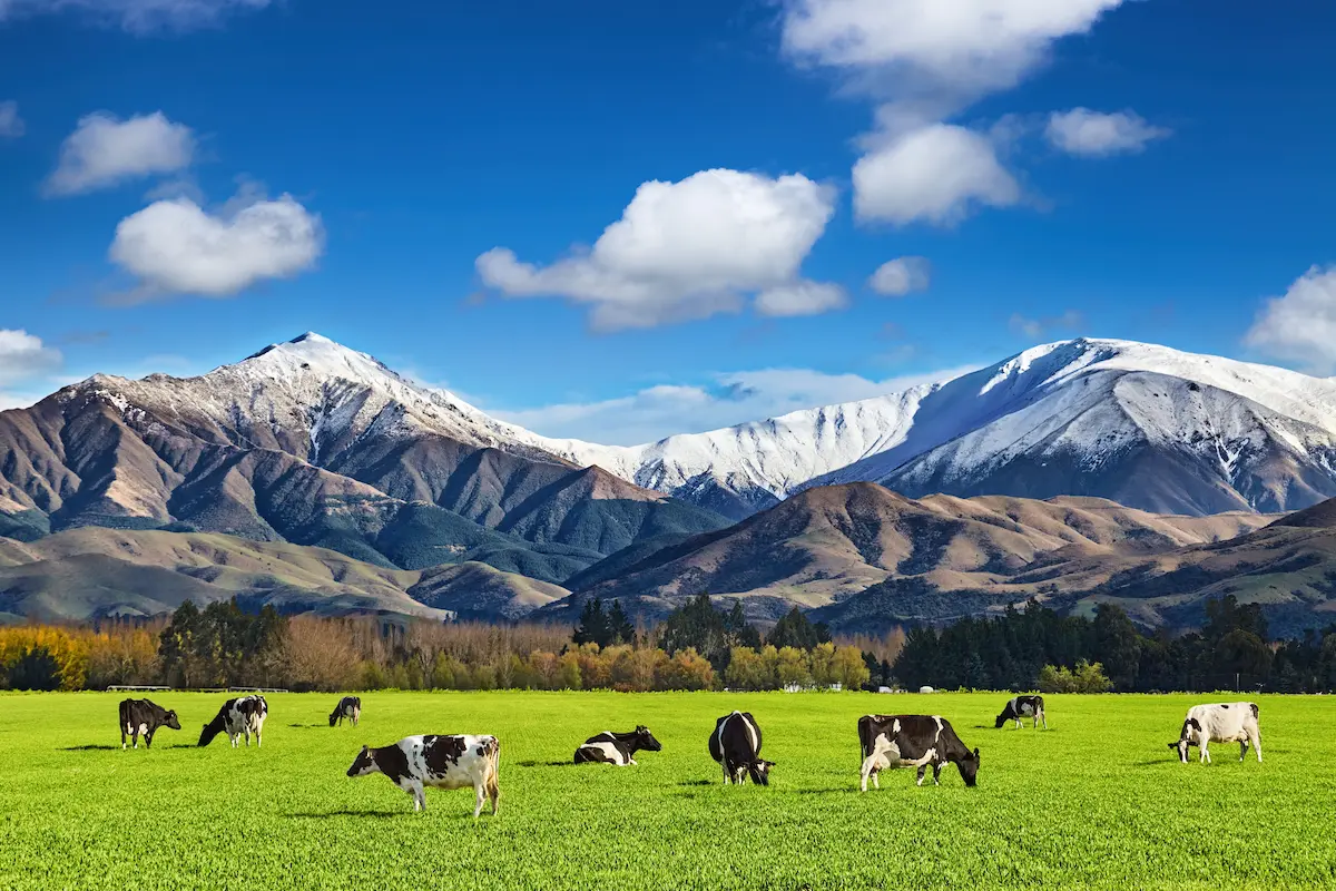 ニュージーランド旅行で人気の南島サザンアルプスの絶景
