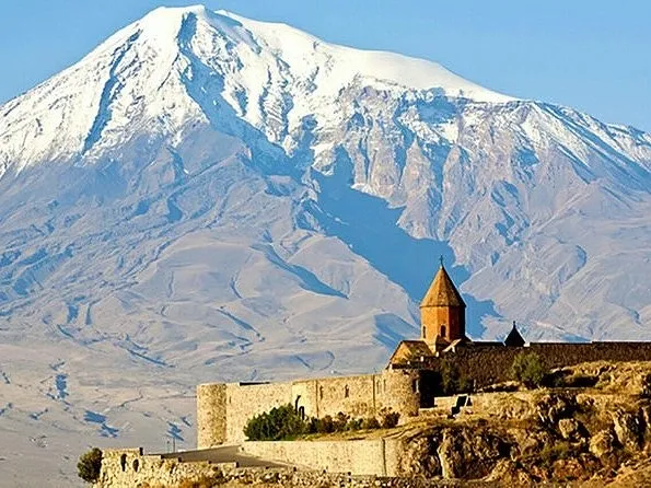 越境旅との相性が抜群