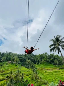 バリのライステラス上空でジップラインを楽しむ旅行者