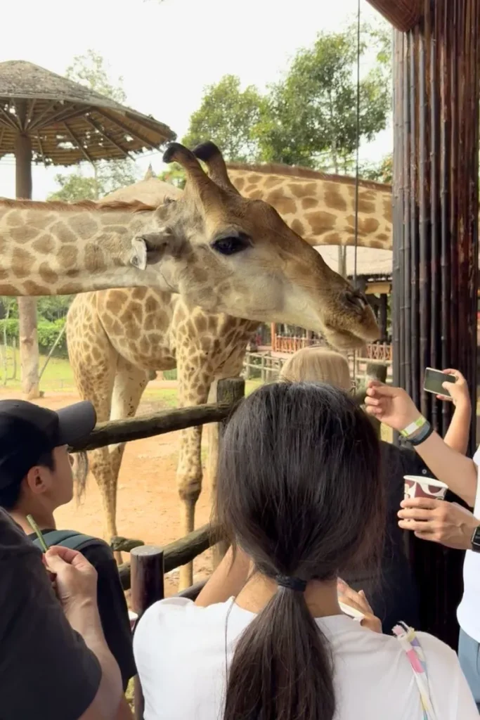 ベトナム＆香港家族旅行8日モデルコース｜ホーチミン・フーコック・香港ディズニー旅行プラン