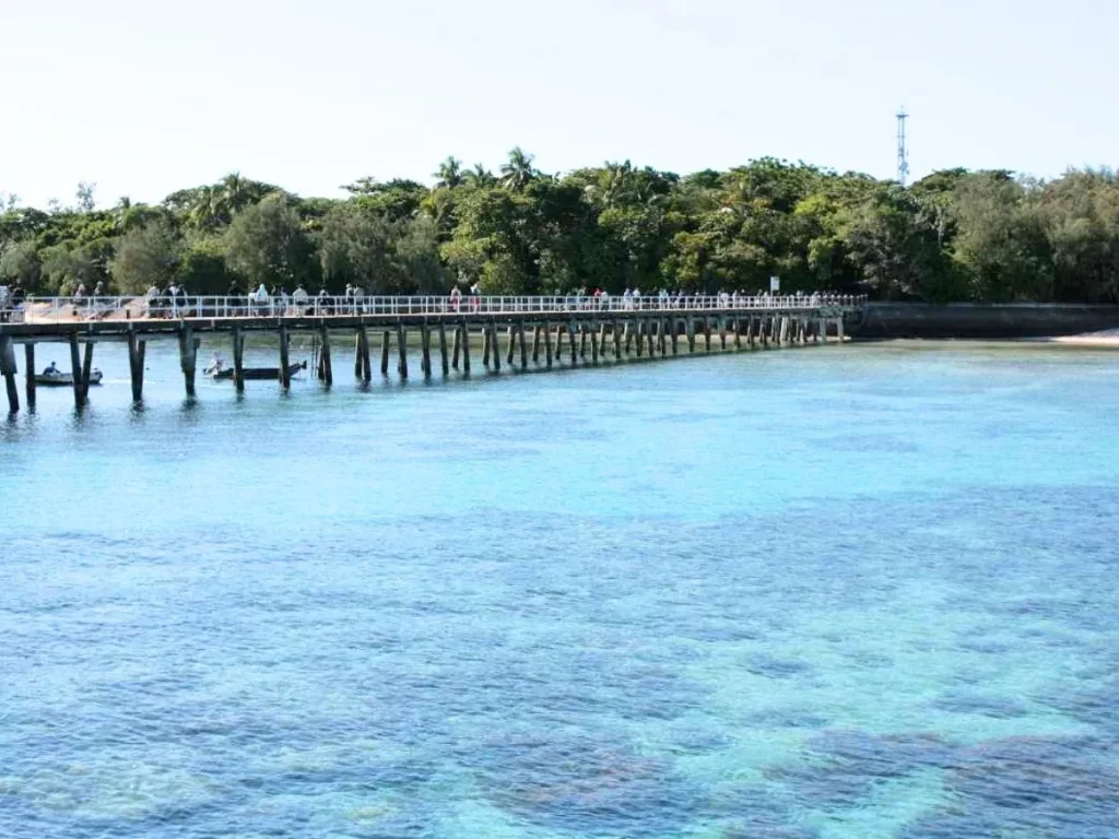 ケアンズ発クルーズで訪れる海辺の桟橋と透明度の高い海の風景