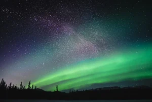 ホワイトホースの夜空に広がる緑のオーロラと星空、森のシルエットが映える冬の風景