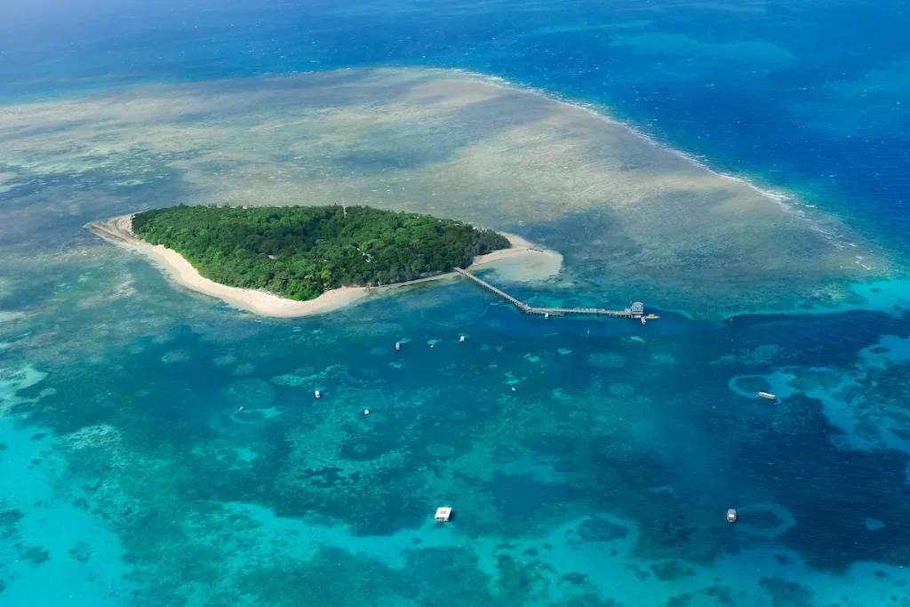 ケアンズ沖のグリーン島を上空から撮影した風景。透明度の高い海とサンゴ礁が広がる景色