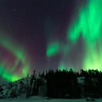雪原と森の上に広がる緑のオーロラが美しい冬の夜景