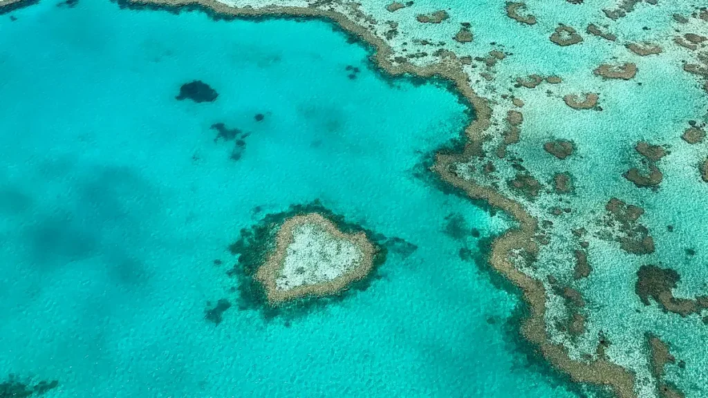 ▶︎絶景や自然を楽しみたい方に