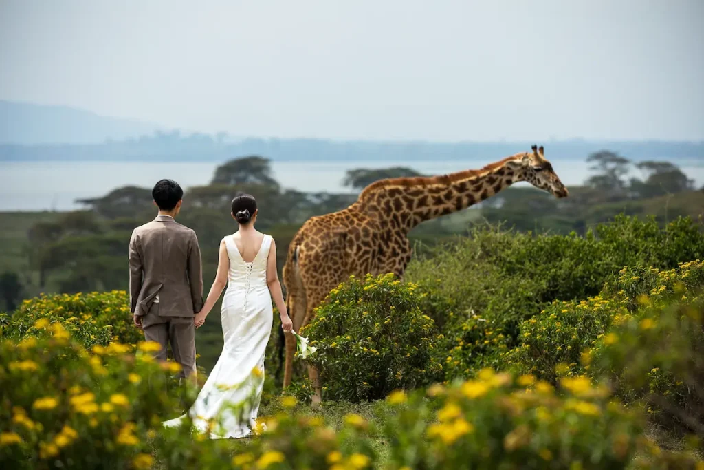 サファリの草原でキリンを眺める新郎新婦の後ろ姿。自然豊かな絶景の中で過ごすハネムーン旅行のイメージ。