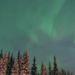 雪をかぶった森の上空に広がるオーロラと星空