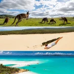 カンガルー島、モートン島、ハミルトン島の自然を並べたオーストラリア旅行イメージ