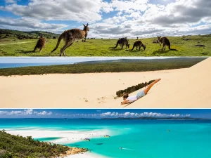 カンガルー島、モートン島、ハミルトン島の自然を並べたオーストラリア旅行イメージ
