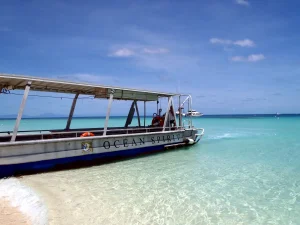 ケアンズ近郊の透明な海に停泊するグレートバリアリーフツアーの船