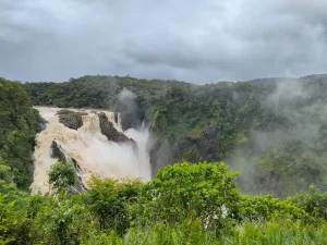 ケアンズ近郊の熱帯雨林に流れる雨季の滝と深い緑の風景