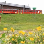 ヨーロッパ周遊で鉄道移動を楽しむ赤い列車と高原の花畑