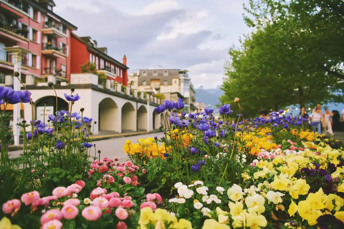 色とりどりの花壇越しにヨーロッパの街並みを望む春の街歩き風景