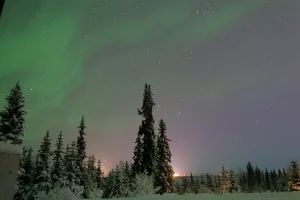 フェアバンクスの雪の森に広がる淡いオーロラと星空の夜景