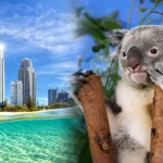 ゴールドコーストの海と高層ビル群、コアラを組み合わせたオーストラリア旅行のイメージ