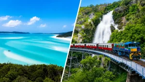 ハミルトン島の白砂ビーチとケアンズの熱帯雨林鉄道を並べたハネムーン比較画像