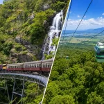 キュランダ鉄道とスカイレールで楽しむケアンズ近郊の熱帯雨林観光