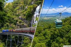 キュランダ鉄道とスカイレールで楽しむケアンズ近郊の熱帯雨林観光