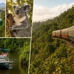 キュランダ鉄道とスカイレール、レインフォレステーションを組み合わせた観光イメージ