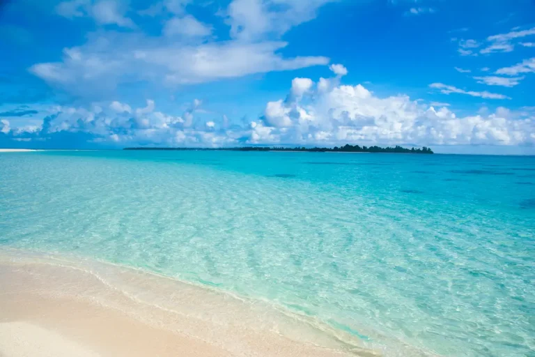 パラオの白い砂浜と透明な海が広がる南国の風景