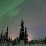 アラスカの雪景色の森に広がるオーロラと星空の風景