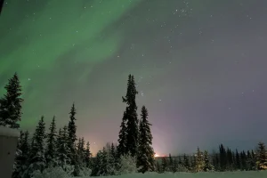 アラスカの雪景色の森に広がるオーロラと星空の風景