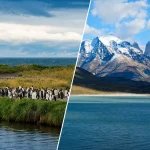 チリ・パタゴニアのペンギン鑑賞とパイネ国立公園の絶景を組み合わせた風景