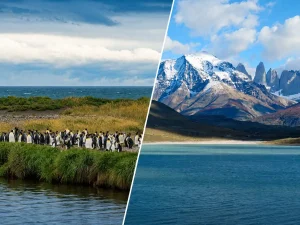 チリ・パタゴニアのペンギン鑑賞とパイネ国立公園の絶景を組み合わせた風景