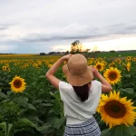 ひまわり畑の中で自然に癒される女子旅のイメージ