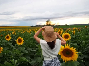 ひまわり畑の中で自然に癒される女子旅のイメージ