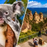 コアラとブルーマウンテンズを楽しむシドニー・ゴールドコースト家族旅行