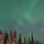 雪の森の上空に広がるオーロラと星空の夜景