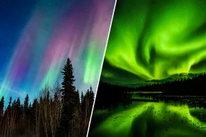 フェアバンクス周辺の森と湖に広がる夏秋オーロラの夜景