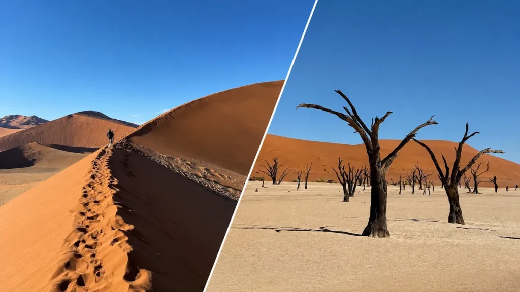 ナミビアのナミブ砂漠を歩く旅行者とデッドフレイの枯れ木