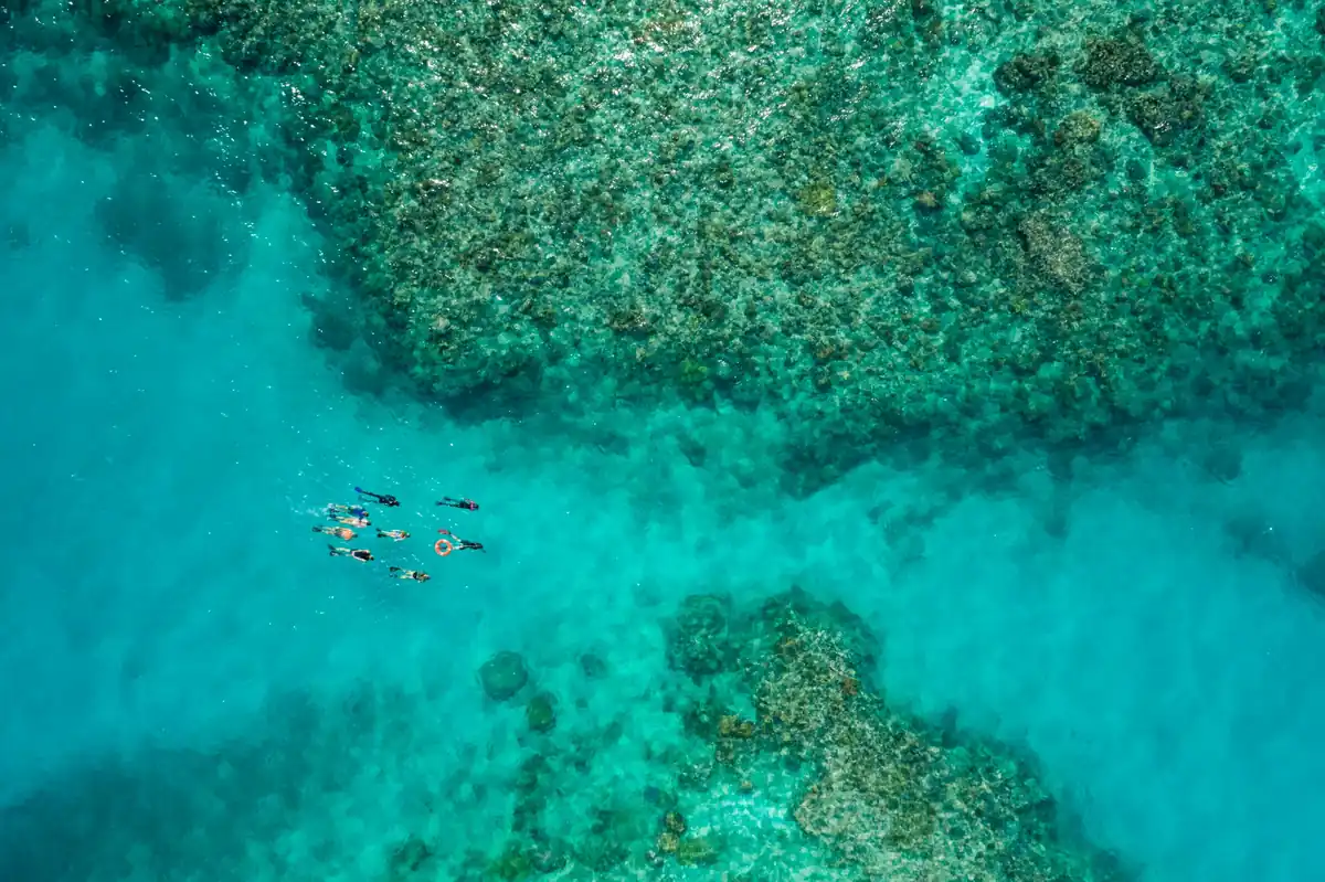 青い海のサンゴ礁を泳ぐ人々