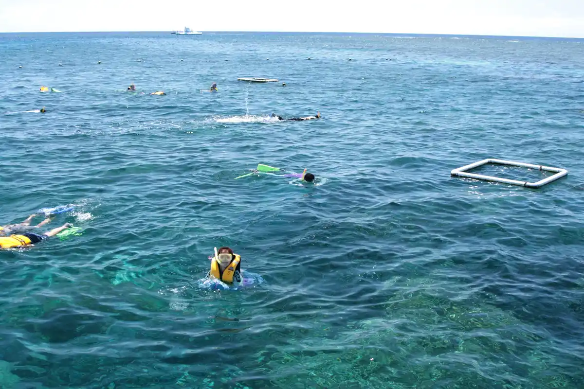 アウターリーフの海で楽しむシュノーケリング