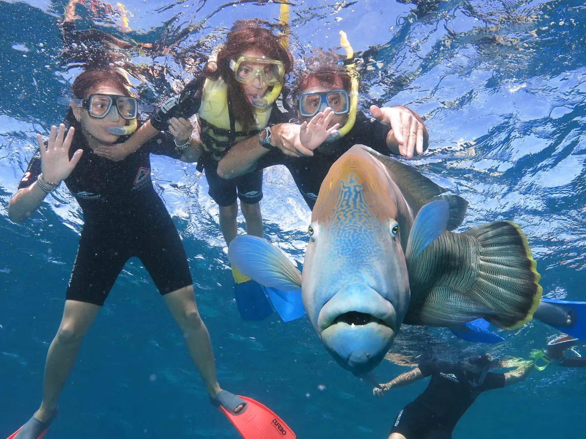青い海中でマスクとシュノーケル、フィンを着けた3人が泳ぎ、手前を大きな魚が通る水中風景