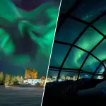フィンランドの雪原に広がるオーロラとガラスイグルーの室内から夜空を眺める旅行者