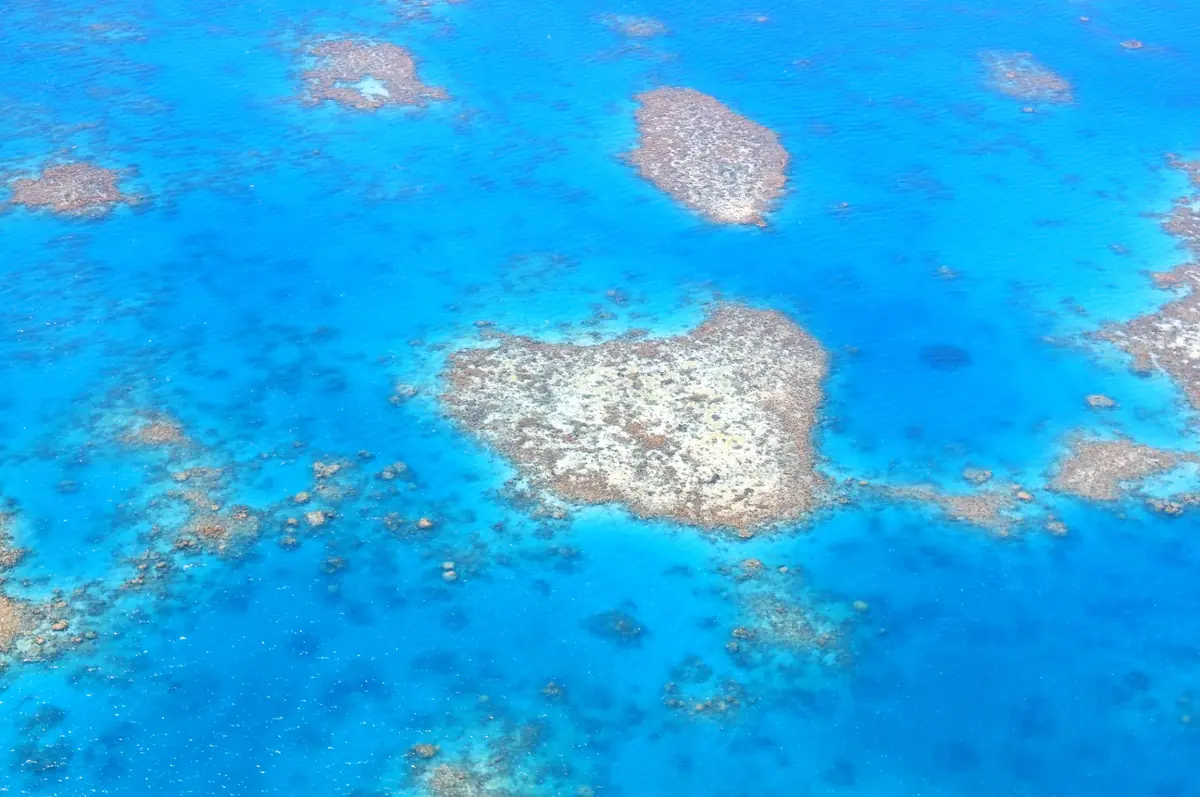 青い海の中にハート形に見えるサンゴ礁が広がるグレートバリアリーフの上空からの景観