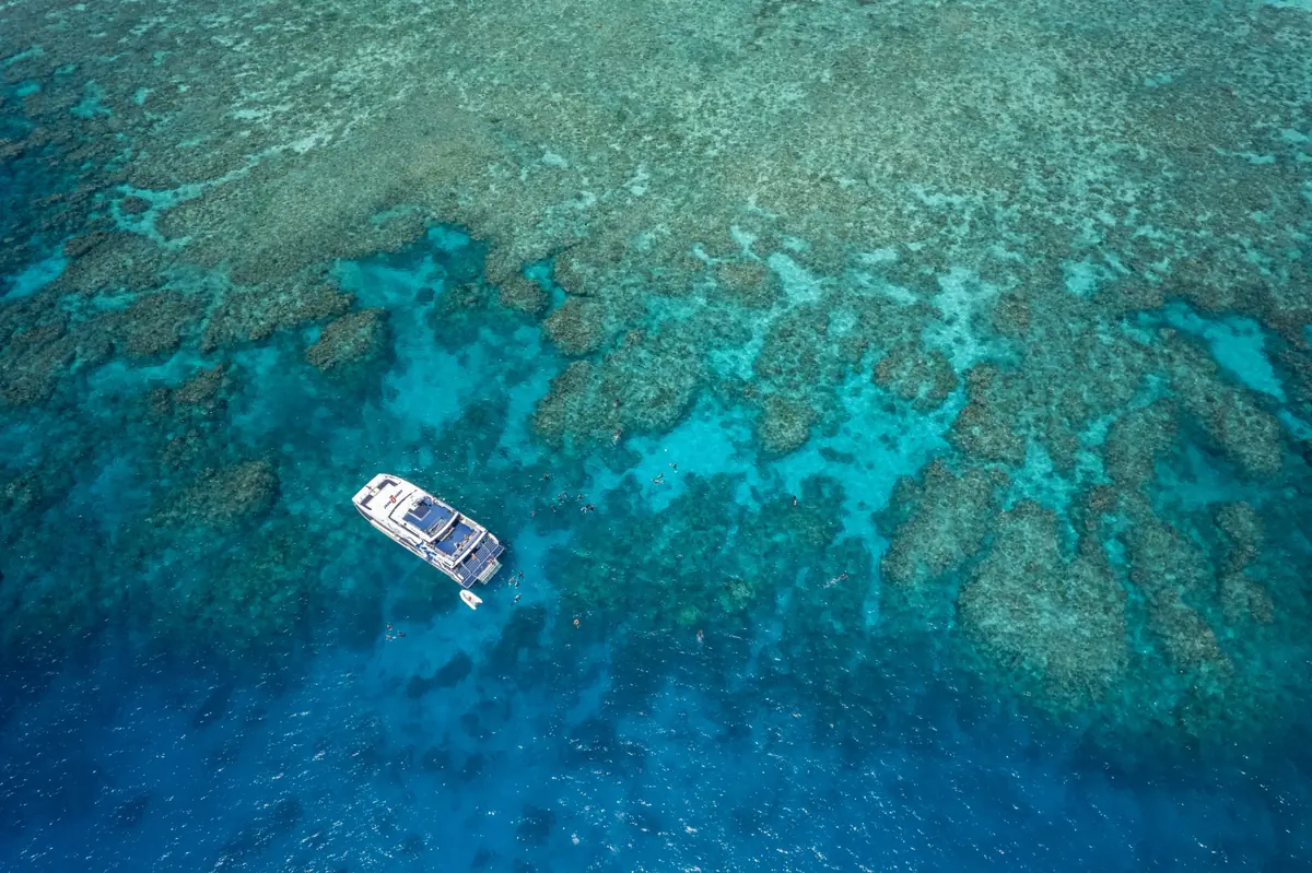 広大なサンゴ礁のそばに停泊する船と、周囲の青い海に浮かぶ複数の人々を上空から望む景観