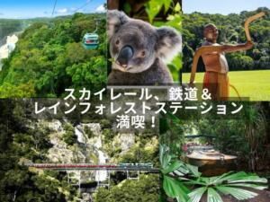 スカイレール、キュランダ鉄道＆レインフォレストステーションの全てのアトラクション満喫！