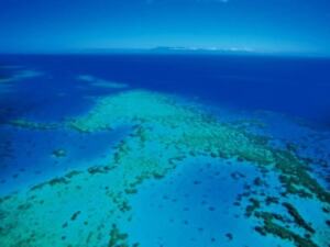 グリーン島とアウターリーフクルーズ 贅沢に2ヶ所に訪れる【即予約確定】