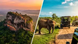 スリランカ旅行の魅力とは？自然・文化・野生動物に出会う感動体験